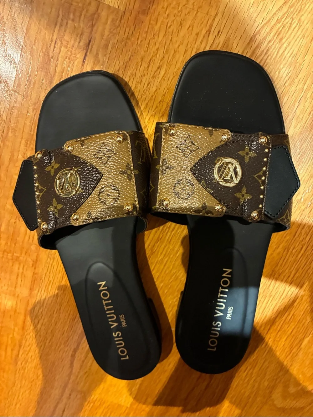Louis Vuitton luxury louis